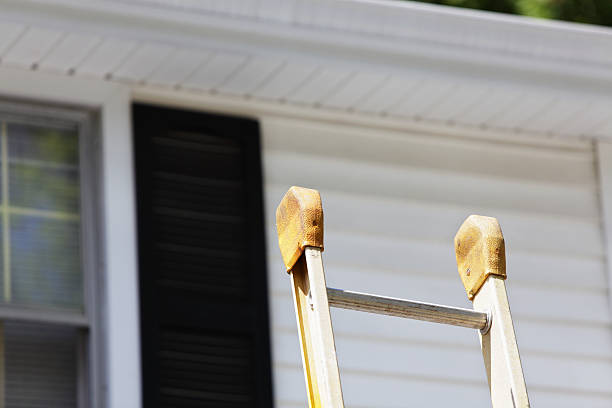 Custom Trim and Detailing for Siding in Roselle, IL